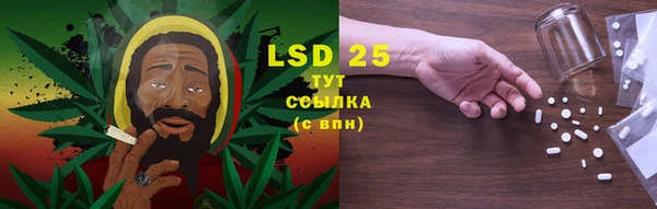 PSILOCYBIN Белокуриха