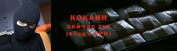 PSILOCYBIN Белокуриха