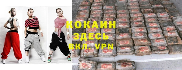 PSILOCYBIN Белокуриха